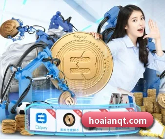 333体育在线网页的方向